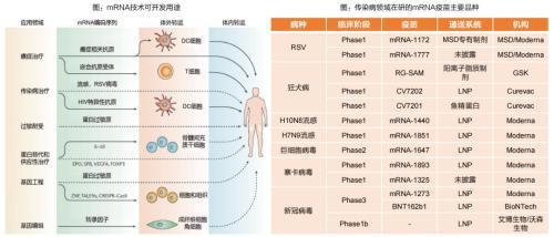 細(xì)胞技術(shù) 掘金近5000億藍(lán)海，把握前沿領(lǐng)域的十倍股機(jī)遇